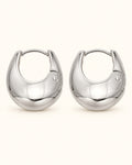 Silver-Tone Polished Earrings