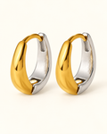 EH1359 Two-Tone Stainless Steel Earrings