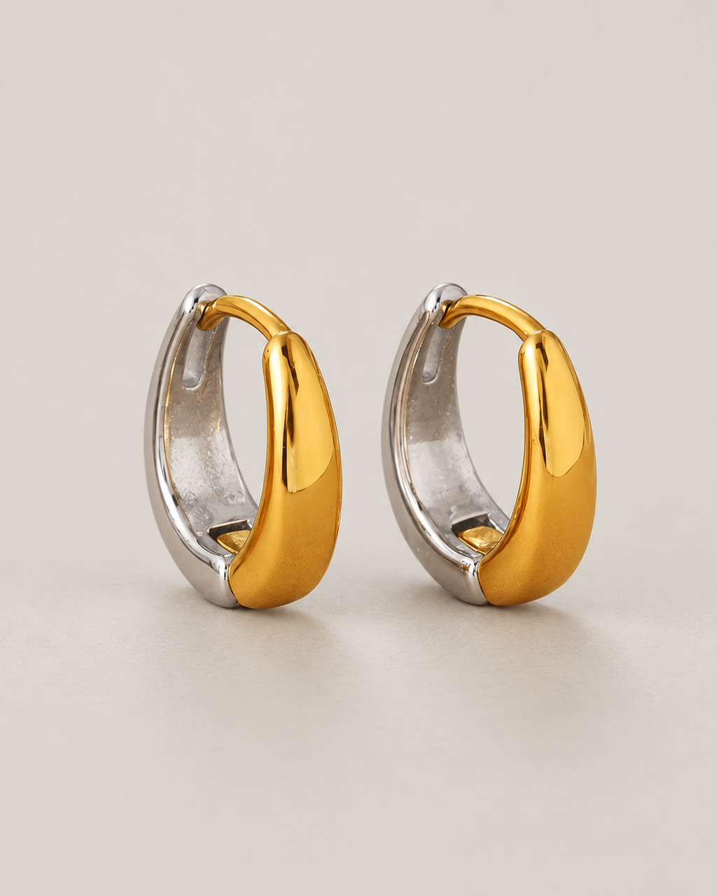 EH1359 Two-Tone Stainless Steel Earrings