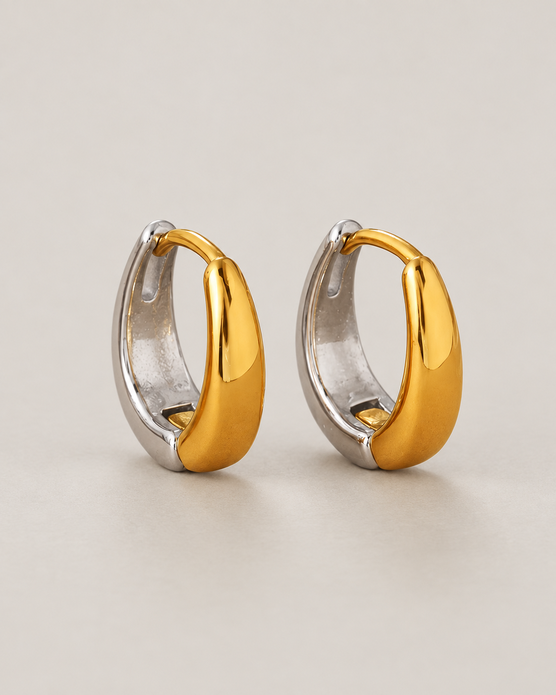 EH1359 Two-Tone Stainless Steel Earrings